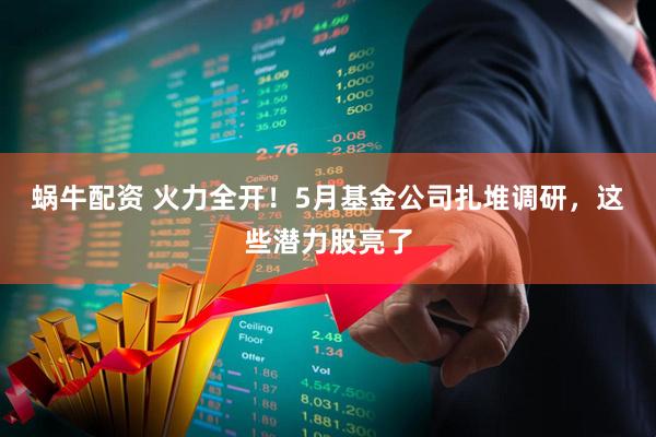 蜗牛配资 火力全开！5月基金公司扎堆调研，这些潜力股亮了
