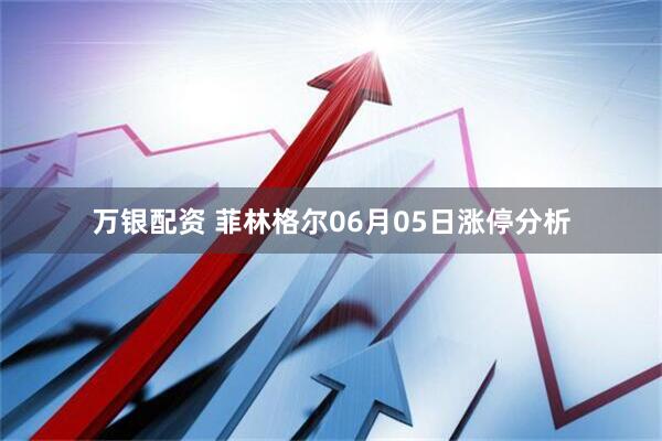万银配资 菲林格尔06月05日涨停分析