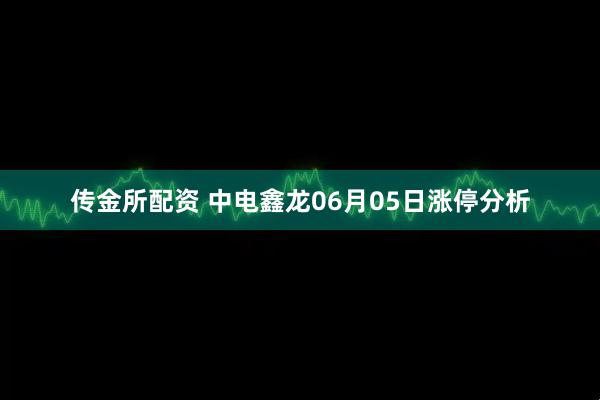 传金所配资 中电鑫龙06月05日涨停分析