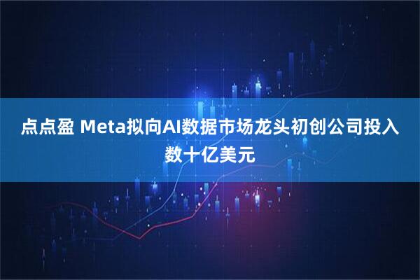 点点盈 Meta拟向AI数据市场龙头初创公司投入数十亿美元