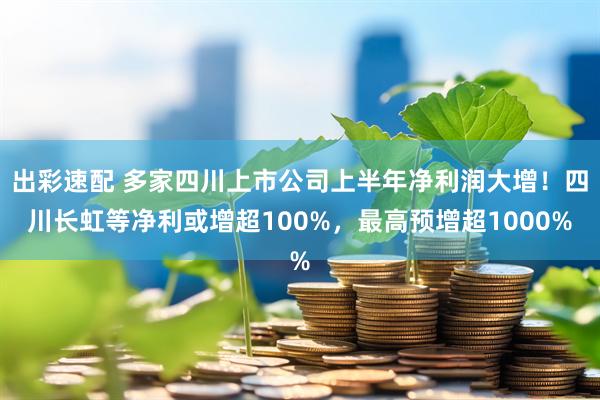 出彩速配 多家四川上市公司上半年净利润大增！四川长虹等净利或增超100%，最高预增超1000%