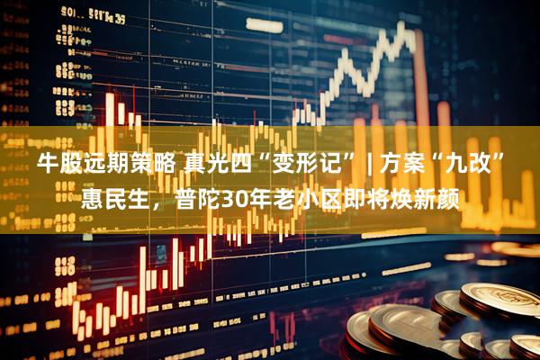 牛股远期策略 真光四“变形记” | 方案“九改”惠民生，普陀30年老小区即将焕新颜