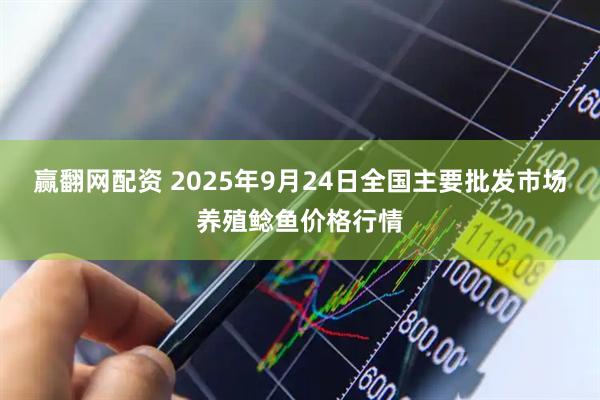 赢翻网配资 2025年9月24日全国主要批发市场养殖鲶鱼价格行情