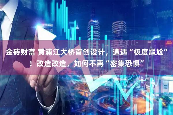 金砖财富 黄浦江大桥首创设计，遭遇“极度尴尬”！改造改造，如何不再“密集恐惧”