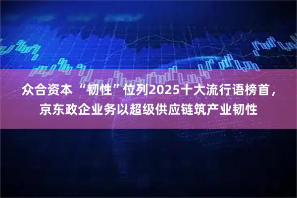 众合资本 “韧性”位列2025十大流行语榜首，京东政企业务以超级供应链筑产业韧性