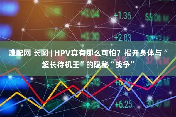 赚配网 长图 | HPV真有那么可怕？揭开身体与“超长待机王”的隐秘“战争”