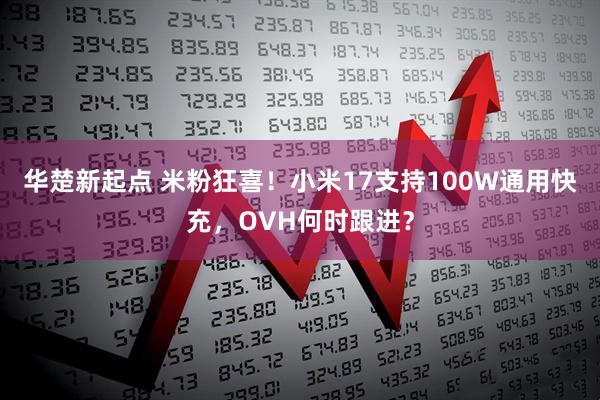 华楚新起点 米粉狂喜！小米17支持100W通用快充，OVH何时跟进？