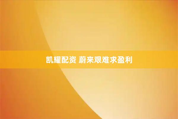 凯耀配资 蔚来艰难求盈利